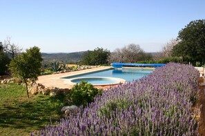 House - Casa Amarela by Portucasa (Loulé)