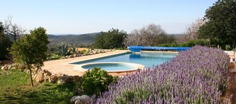 Casa Amarela by Portucasa