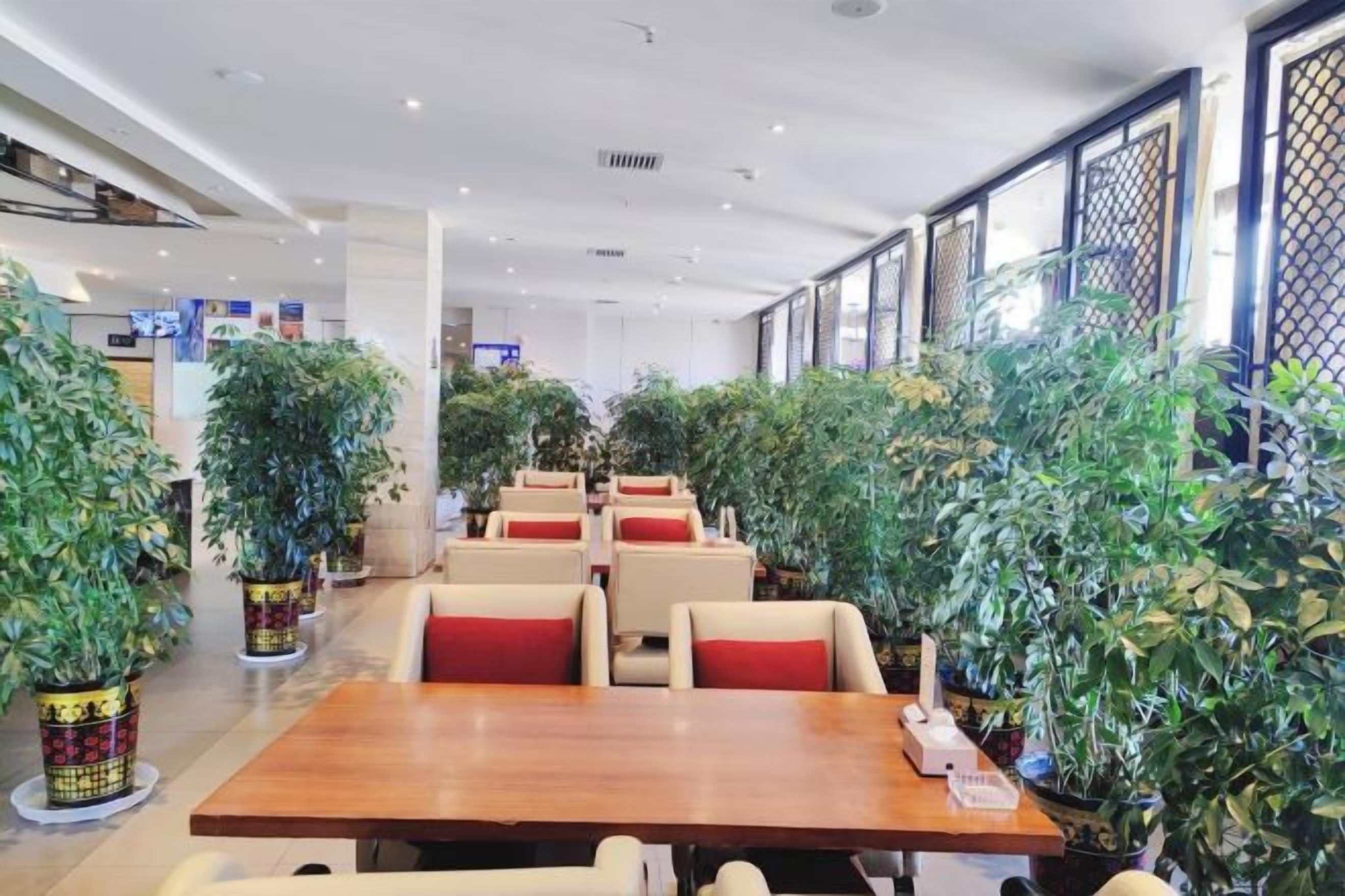 A restaurant with multiple tables and chairs, surrounded by potted plants.
