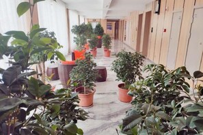 A corridor with potted plants, wicker furniture, and lockers. - Tibet Ali Hotel (Gar County)
