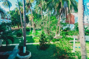 Jardín