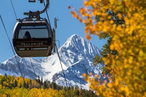 Condo, 1 habitación | Imagen general