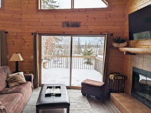 Smart TV, fireplace, books