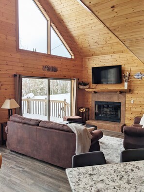 Smart TV, fireplace, books