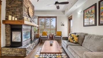 Smart TV, chimenea y libros