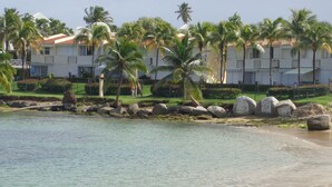 A beachfront hotel with a pool, palm trees, and a clear view of the ocean.