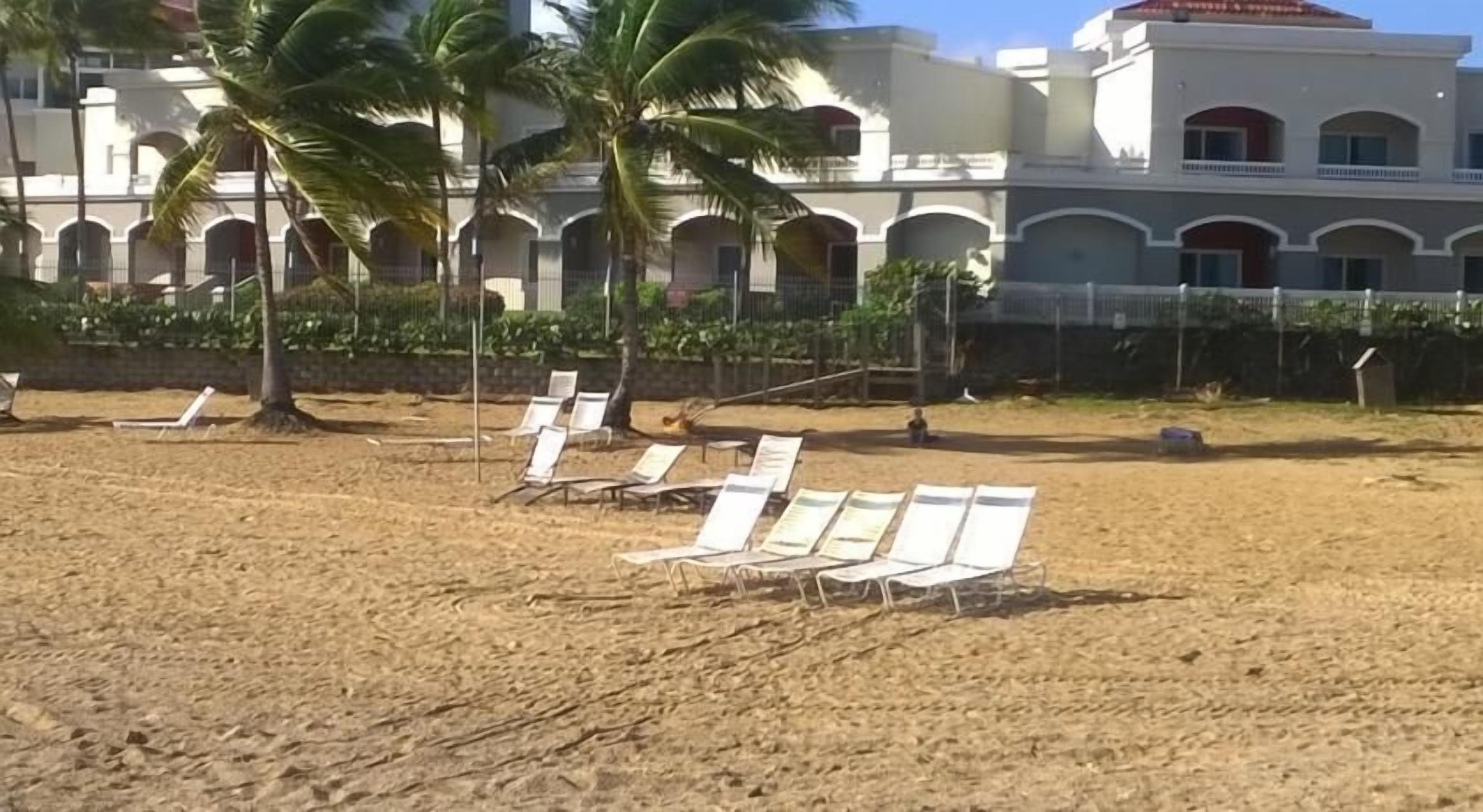 A beach with white lounge chairs and palm trees.