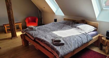 Harzritter Domizil Großzügige Familienwohnung
