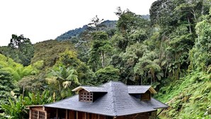 Una casa de madera con techo inclinado, rodeada de exuberante vegetación y montañas al fondo.