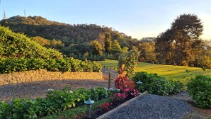 Un jardín con muro de piedra, camino de grava y diversas plantas.