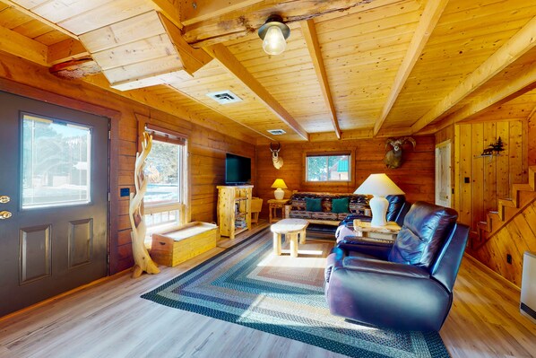 TV, books, streaming services