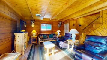 Télévision, livres, services de streaming