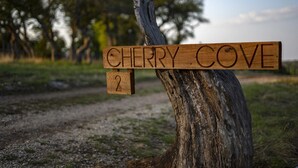 A wooden signpost with the text "CHERRY COVE" and a number "2" attached to it, mounted on a tree trunk. - Cherry Cove Glamping W/ Hot tub AND Cowboy Pool! (Fredericksburg)