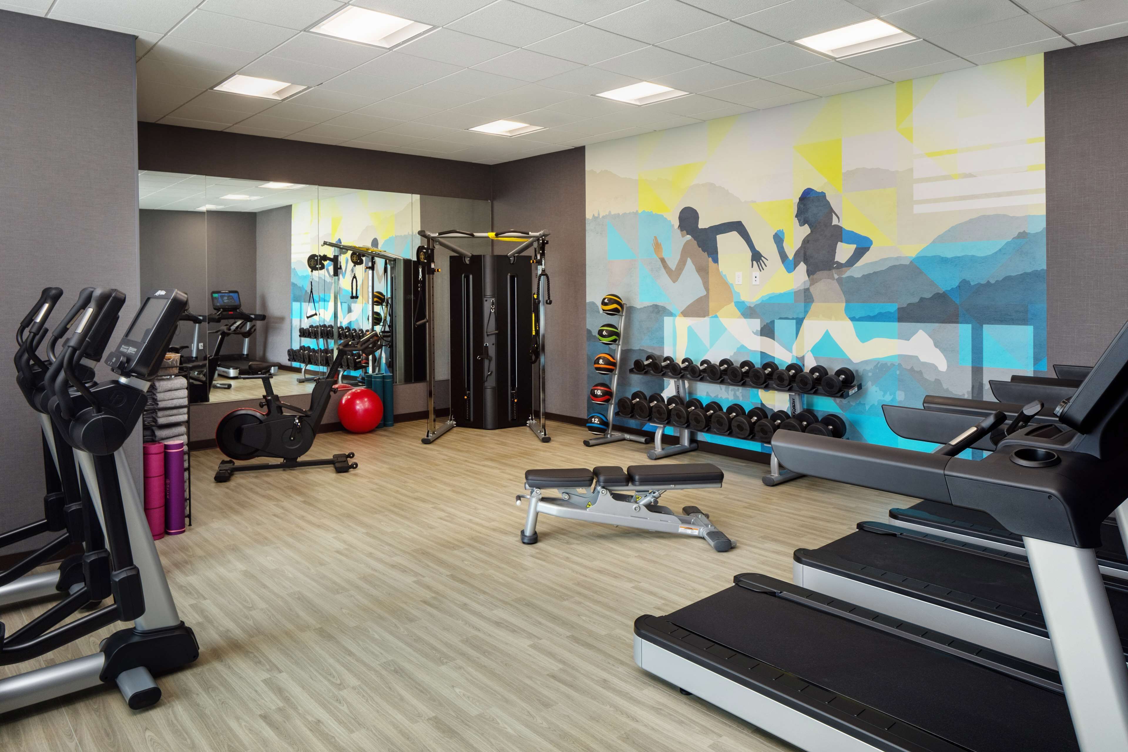 A gym with treadmills, elliptical machines, free weights, and a mirror.