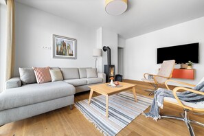 Télévision, cheminée, chaîne hi-fi