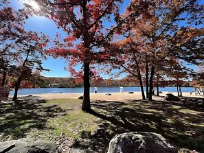 A park with trees, a lake, and a bench. - Practically Lakefront Family&Pet Friendly Poconos Perfection w/Hottub (Albrightsville)