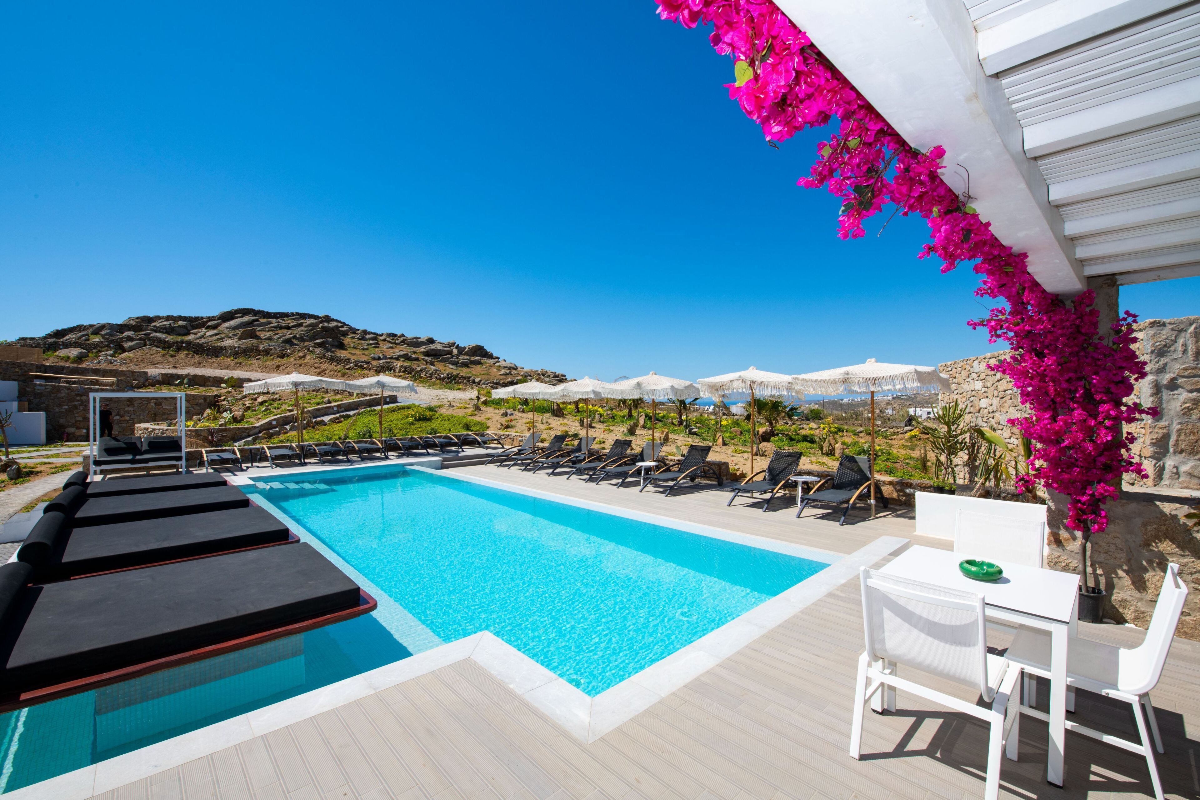 Photo - Bianco a Nero Mykonos