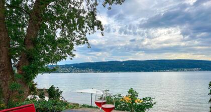 Findling on Lake Constance: private beach, sauna, fireplace, lake view, canoes