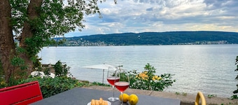 Findling on Lake Constance: private beach, sauna, fireplace, lake view, canoes