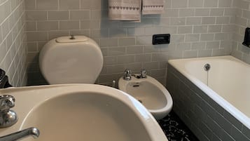 Hårtørrer, bidet, håndklæder, Toiletpapir