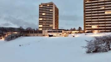 Ulkopuoli