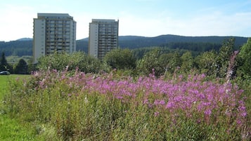 Ulkoalueet