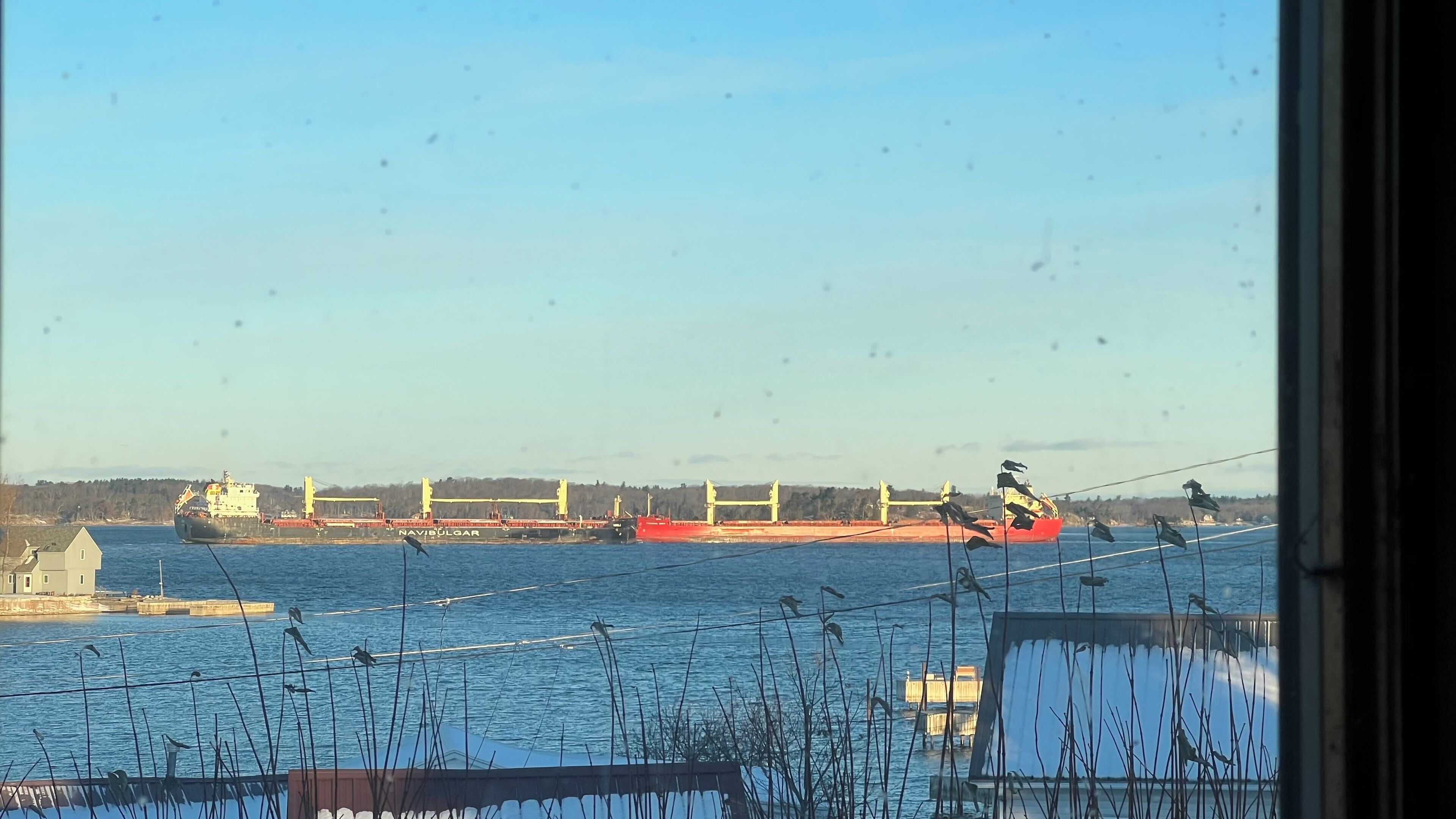Blick auf ein großes Frachtschiff namens NAVIBULGAR, das an einem Kai mit einem kleinen Gebäude und einer sich ins Wasser erstreckenden Anlegestelle vorbeifährt.