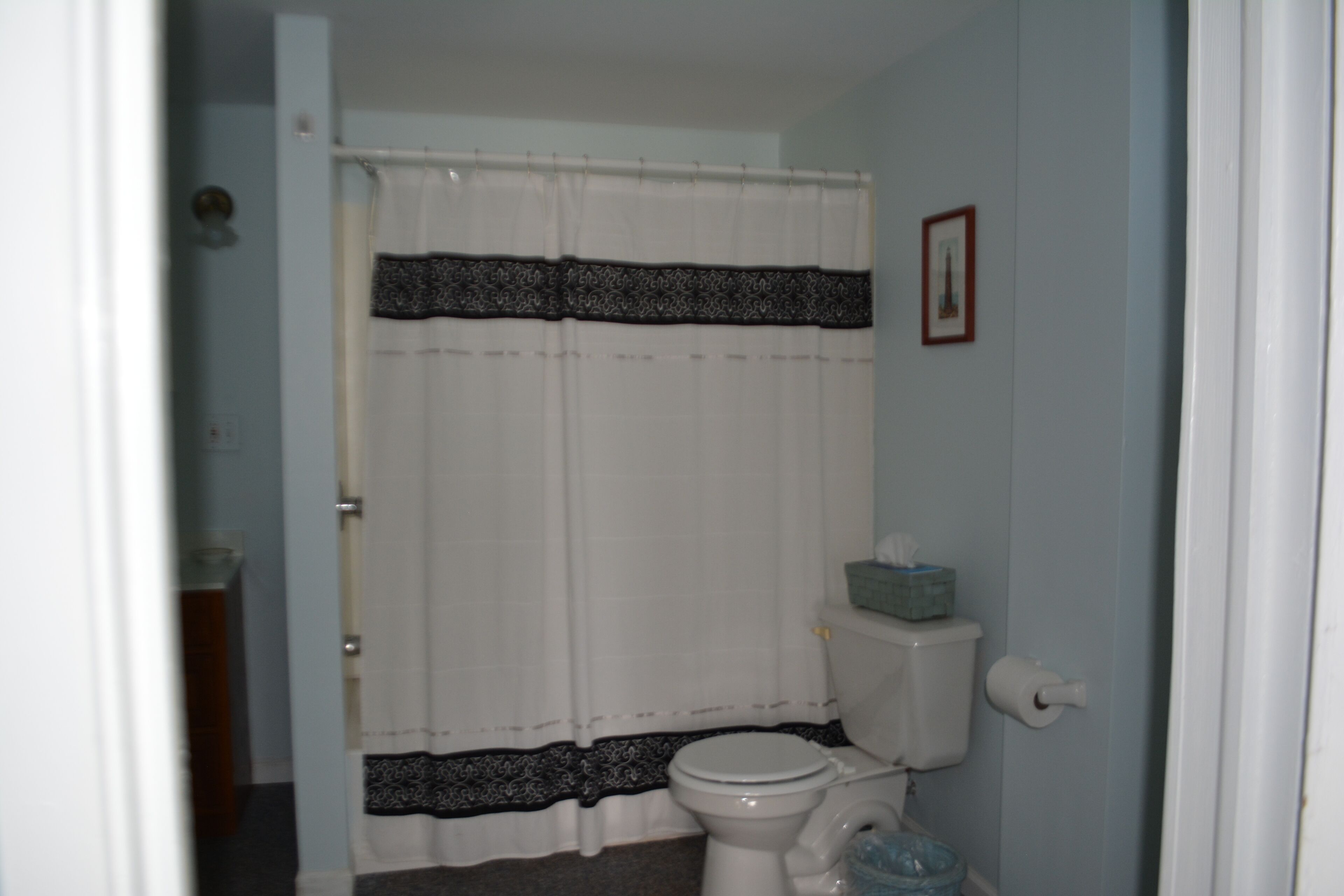 Un baño con inodoro, cortina de ducha y un cuadro en la pared.
