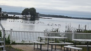 A lakeside view with a dock, benches, and a row of houses. - Chateau Country Inn  (Clayton)