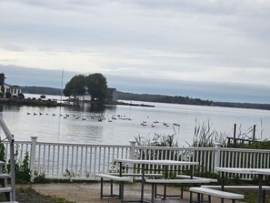 Área de parrillas y picnic