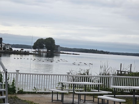 BBQ/picnic area