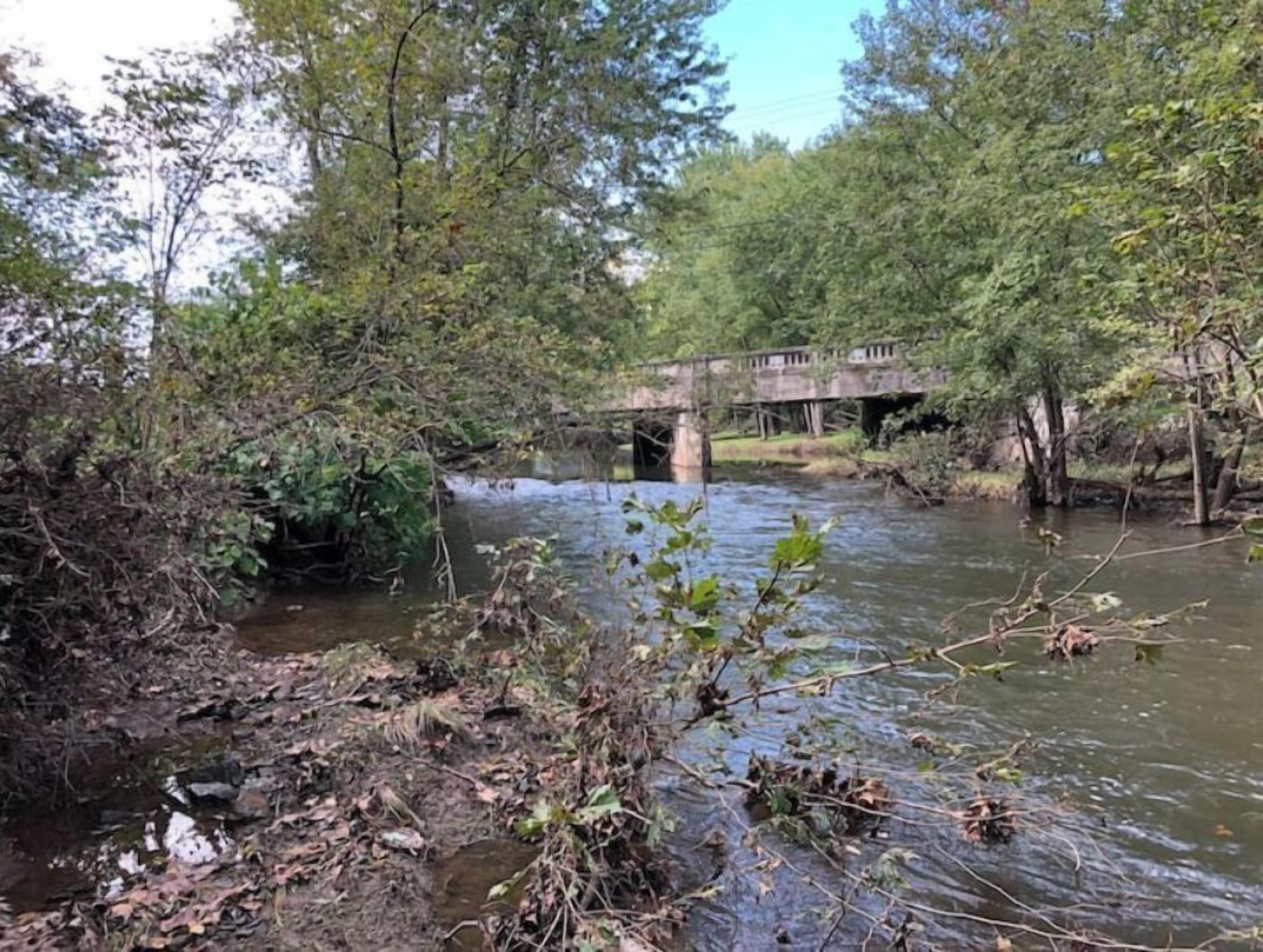 Een rivier met een brug, omgeven door weelderige begroeiing.