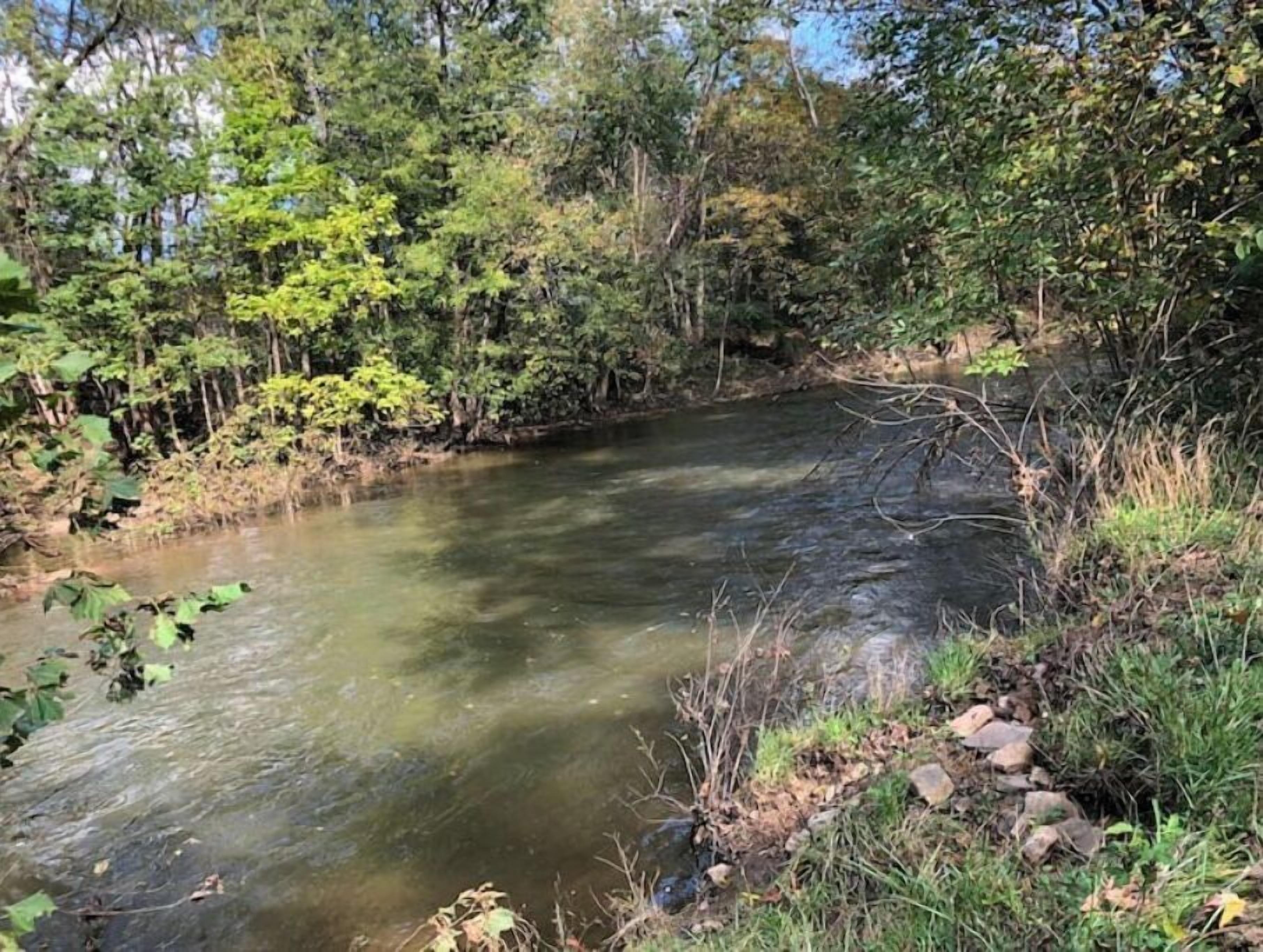 Een rivier die door een bebost gebied stroomt, met weelderige begroeiing aan beide oevers.