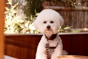 Children’s area - wuginggu Hostel (Hangzhou)