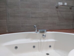 Shower, jetted bath, hair dryer, bidet