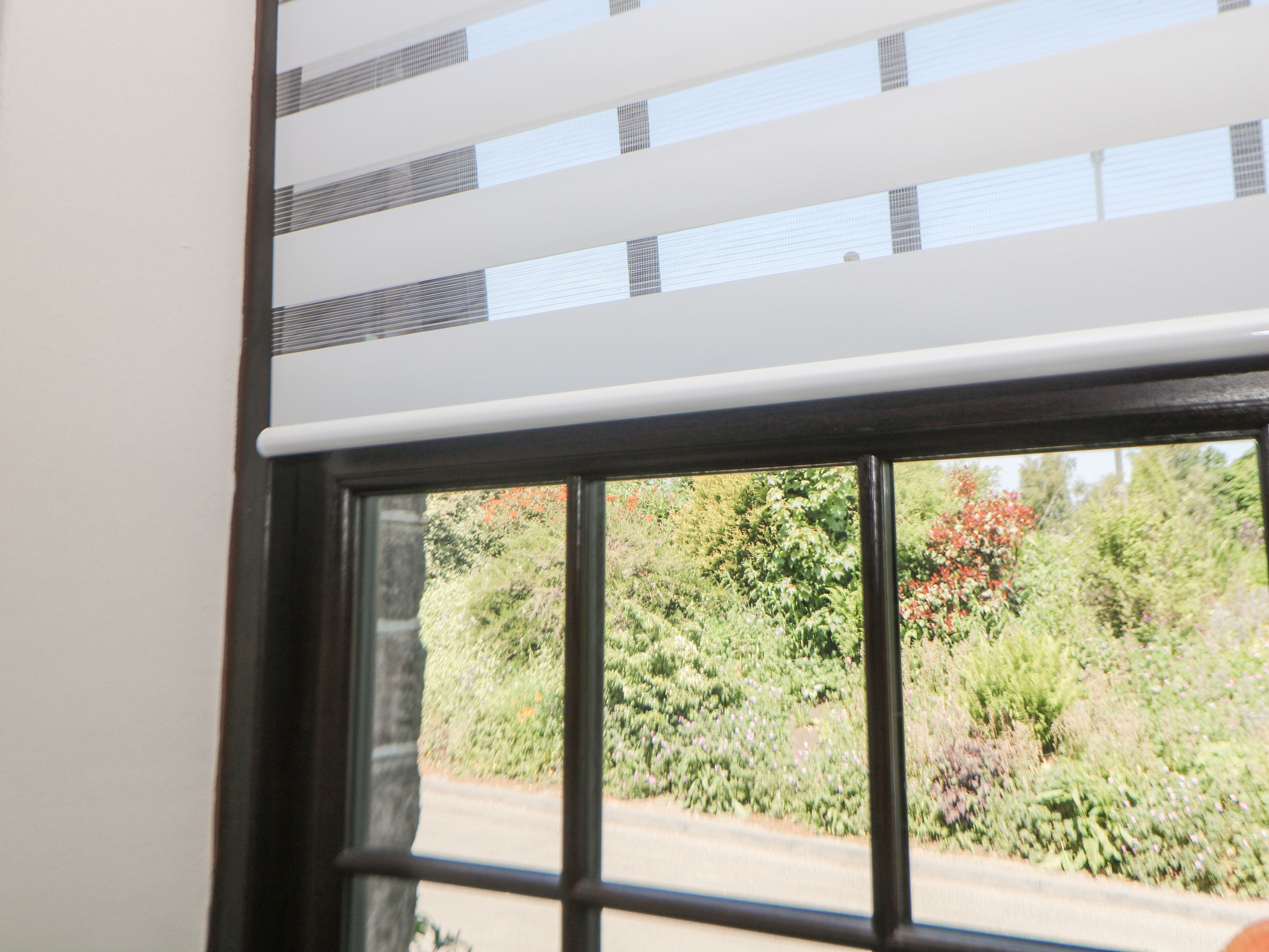 Ein Fenster mit Blick auf einen Garten und ein Gebäude mit horizontalen Linien.