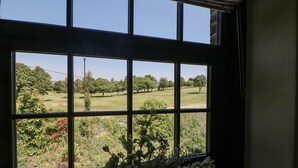 Janela com vista para uma paisagem verde, um vaso com flores e um interior escuro.