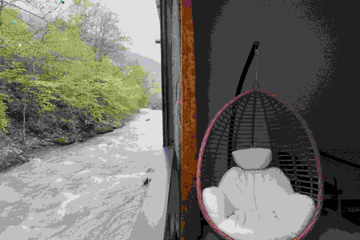 A room with a view of a road and trees, a hanging chair, and a window with a view.