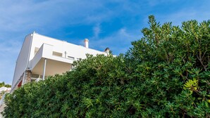 A modern white building with a flat roof and a chimney, surrounded by dense green foliage. - Bovolini's Room (Dubrovnik)