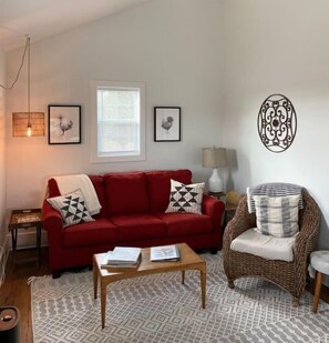 Smart TV, DVD player, books, video library