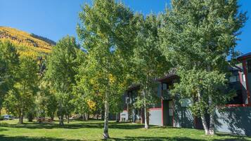 Condo, 3 habitaciones | Áreas de la propiedad