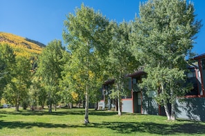 Condo, 3 habitaciones | Áreas de la propiedad