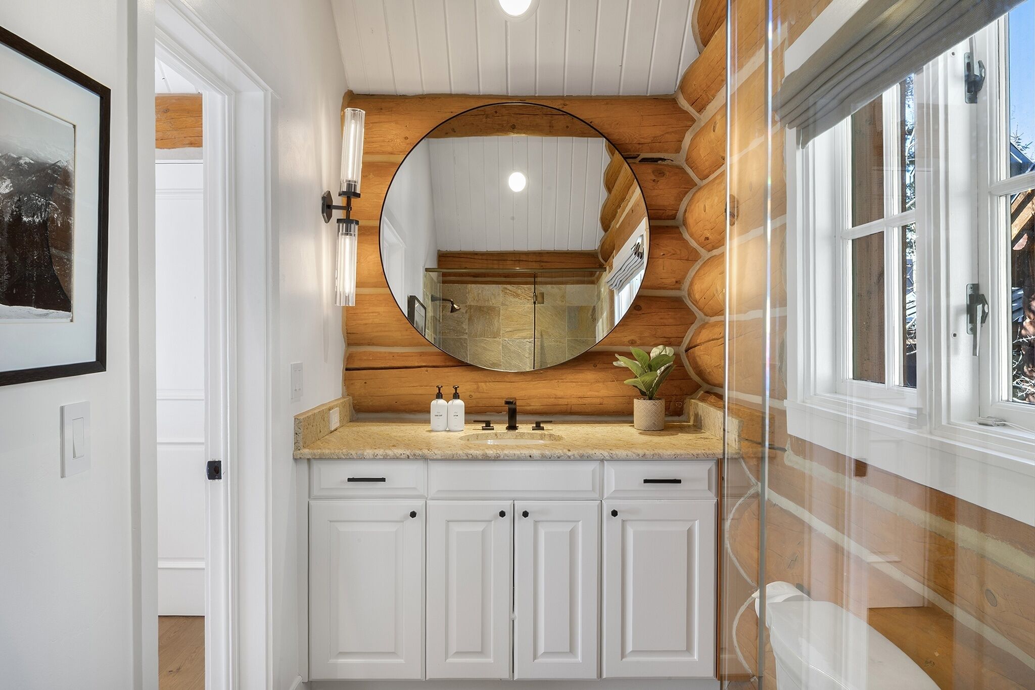 A bathroom with a wooden wall, a round mirror, a sink with two bottles, and a potted plant.