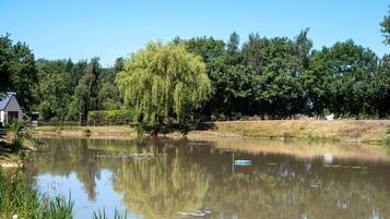 Studio | Halaman properti