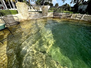 Property grounds - Slice of Paradise near Everglades, Keys, & Biscayne National Park (Homestead)