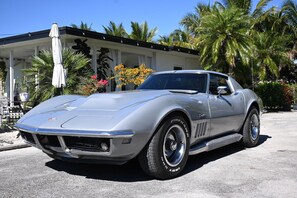 Property grounds - Slice of Paradise near Everglades, Keys, & Biscayne National Park (Homestead)