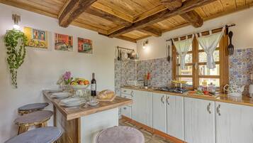 Family House, Multiple Bedrooms, Mountainside (Rural House With Wellness) | Private kitchen | Fridge, microwave, stovetop, electric kettle