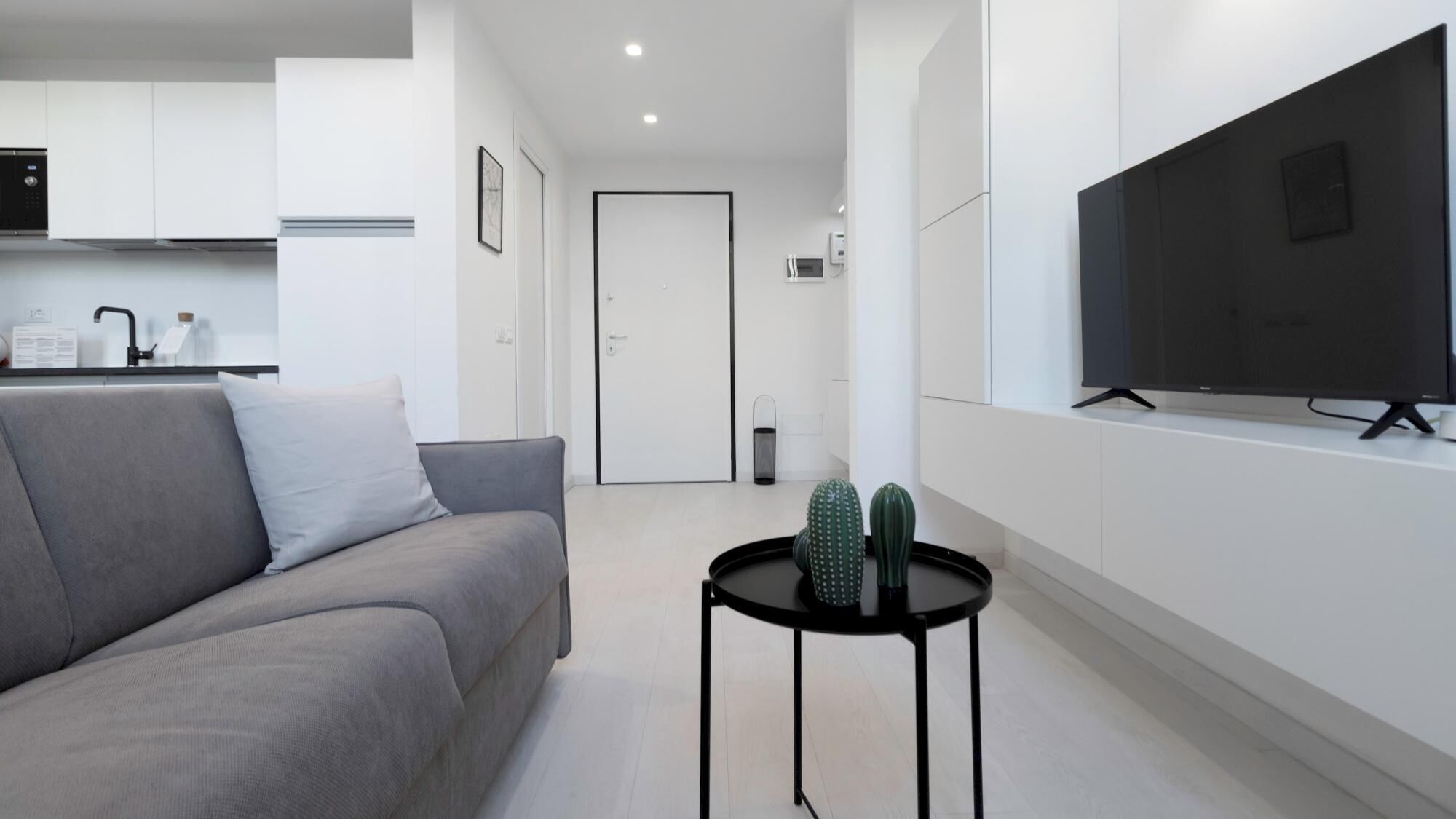 Un salon moderne avec un canapé gris, une petite table noire ornée de deux cactus, un téléviseur à écran plat posé sur un meuble et des meubles blancs en arrière-plan.