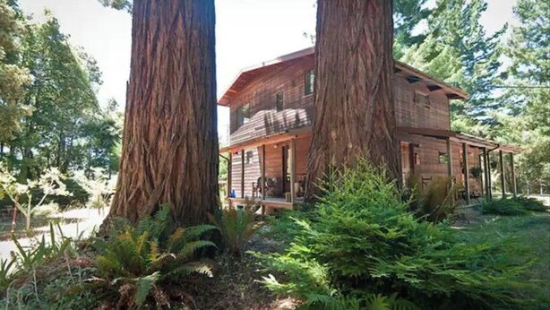 A cabin with a wooden exterior, surrounded by large trees and dense greenery. - *Ten Trees* Cabin, Secluded, Near Redwood Parks (Myers Flat)