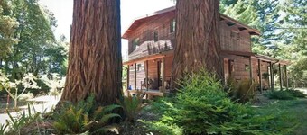 *Ten Trees* Cabin, Secluded, Near Redwood Parks